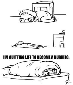 Funniest_Memes_i-m-quitting-life-to-become-a-burrito_13756